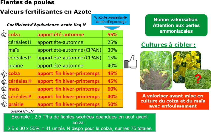 Valeurs fertilisantes en azote - Fientes de poules.png