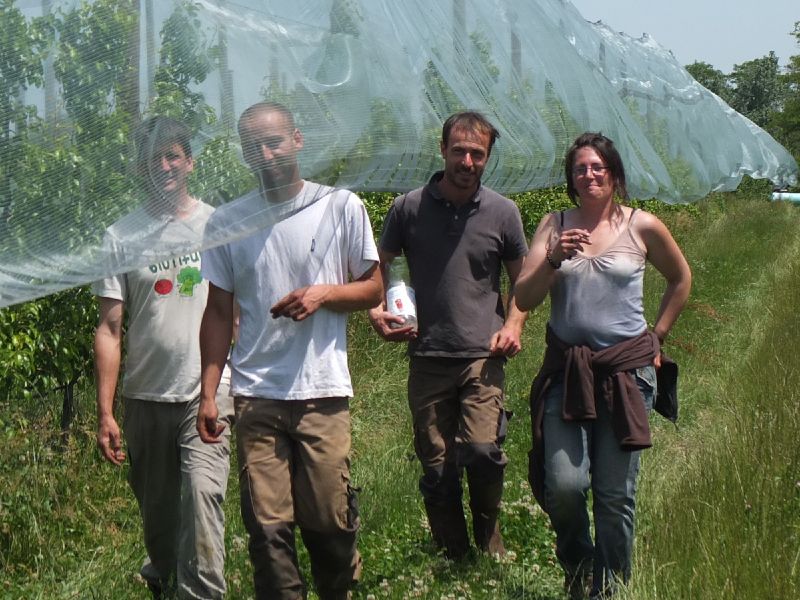 Fichier:Equipe Vernou.jpg