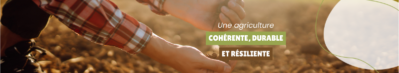 Fichier:Banniere agrocoherence V2.png