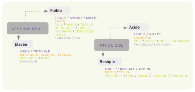 Choix des espèces suivant le type de sol