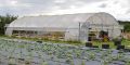 Photo ferme Magnyfestante2