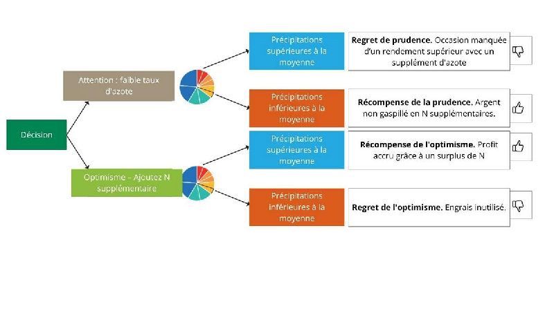 Fichier:Arbre de decision azote.jpg