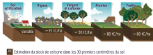 Stock de carbone organique dans les 30cm de sol.png