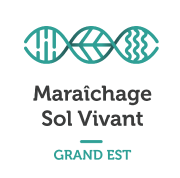 LOGO MSV Grand-Est avec marges.png