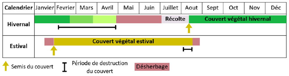 Itinéraires techniques types pour la mise en place de couverts végétaux temporaires en lavanderaie