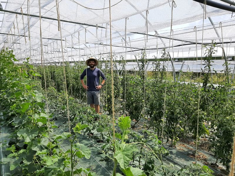 Fichier:475383869 122221879478024090 5132732185574233676 n.jpg