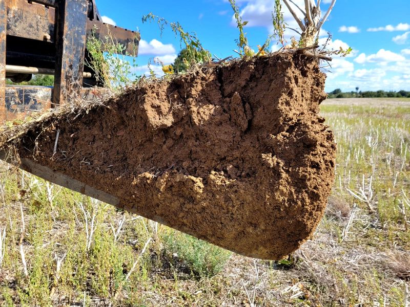 Fichier:Sol9 Saboureau.jpg