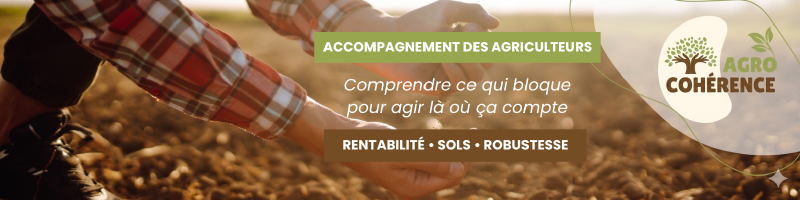 Fichier:Bannière Linkedin V3.png