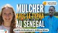 Vignette pour la version du 6 juillet 2026 à 14:27