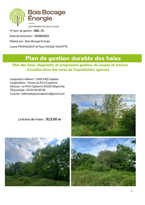 Fichier:PGDH final Pont Capitaine.pdf