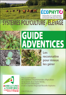 Image Reconnaissance adventices en Polyculture levage.png
